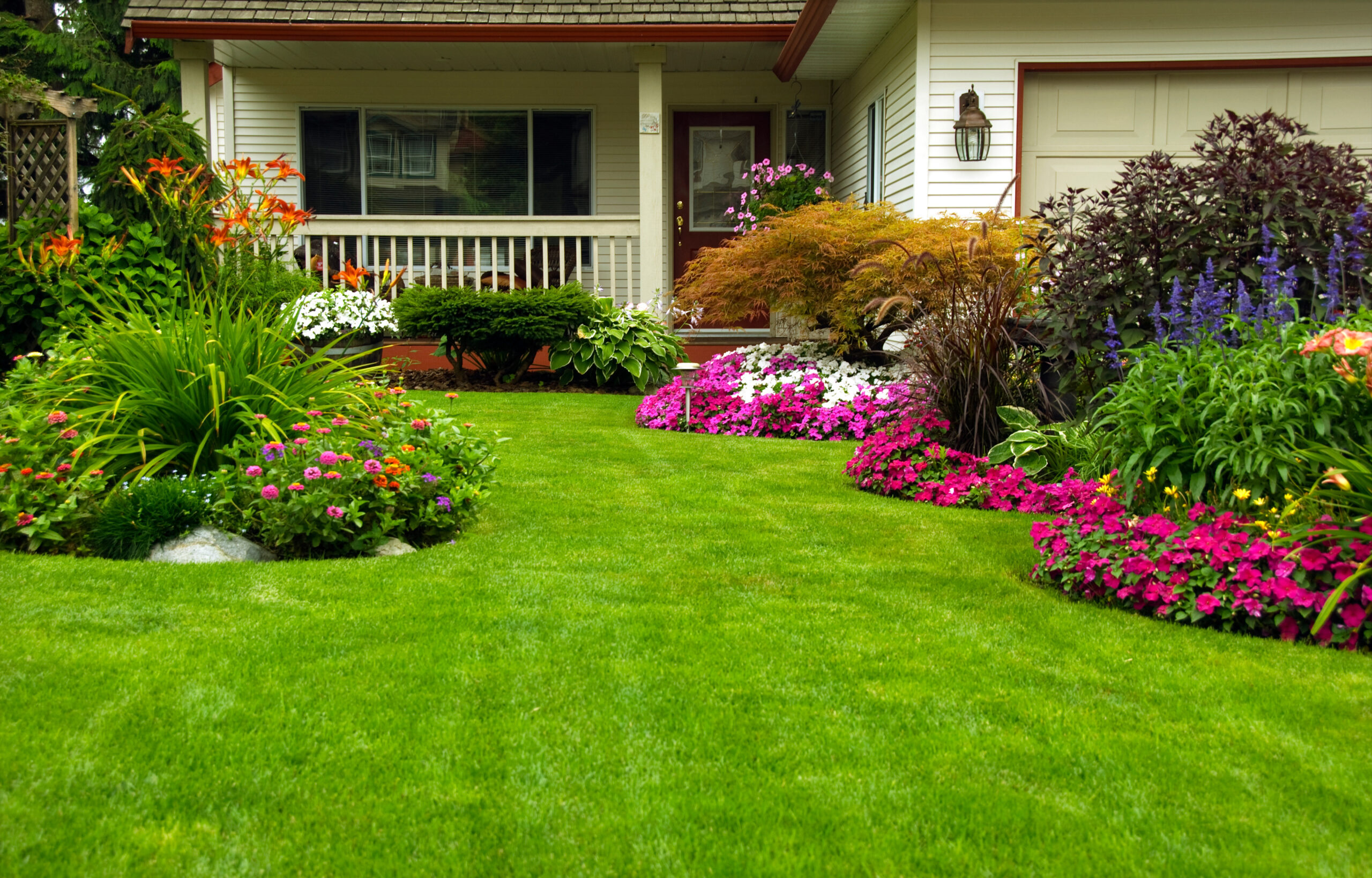 The Ultimate Guide to Spring Lawn Care: Conquer Weeds and Pests!